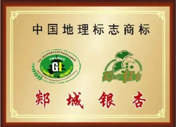 微信圖片_20240110151902